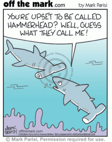 Hammer tail shark complains to hammerhead rude ass name bullying worse in comparison.