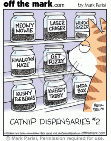 Cat marijuana dispensary customer buys kitty named feline catnip herb kind buds selection.