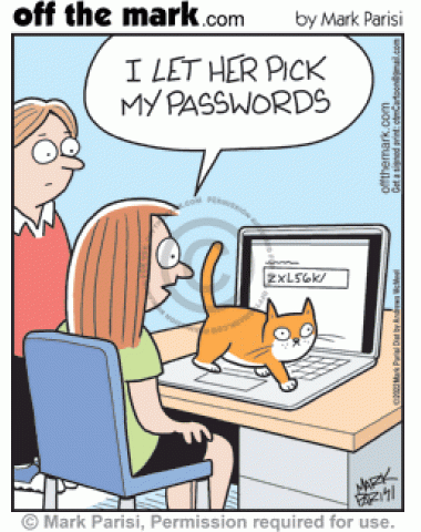 Pet owner lets kitty walking on laptop keys pick difficult internet security login passwords. 