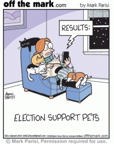 Stressed pet owner watches elections results news with supportive cats & dogs on lap.