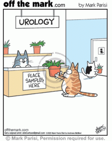 Urologist patient cats peeing urine samples in potted plants at doctors appointments.