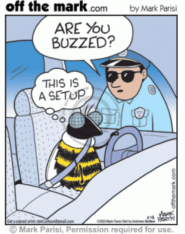 Cop pulls over honeybee & asks if buzzed but bug driver thinks it’s a set up.