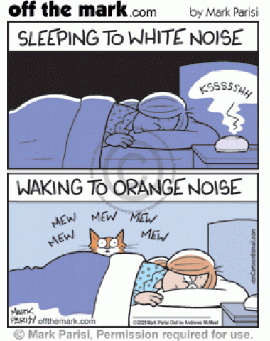 Pet owner sleeps to peaceful white noise but wakes to orange kitty’s annoying morning meows.