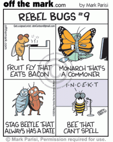 Rebellious fruit fly fries bacon, commoner monarch butterfly watches TV, stag beetles dating & spelling bee misspells insect.