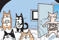 Daily Cartoon Image