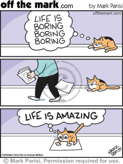 2026-07-23