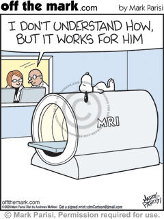 2026-08-07