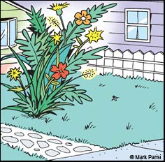 Home & Garden